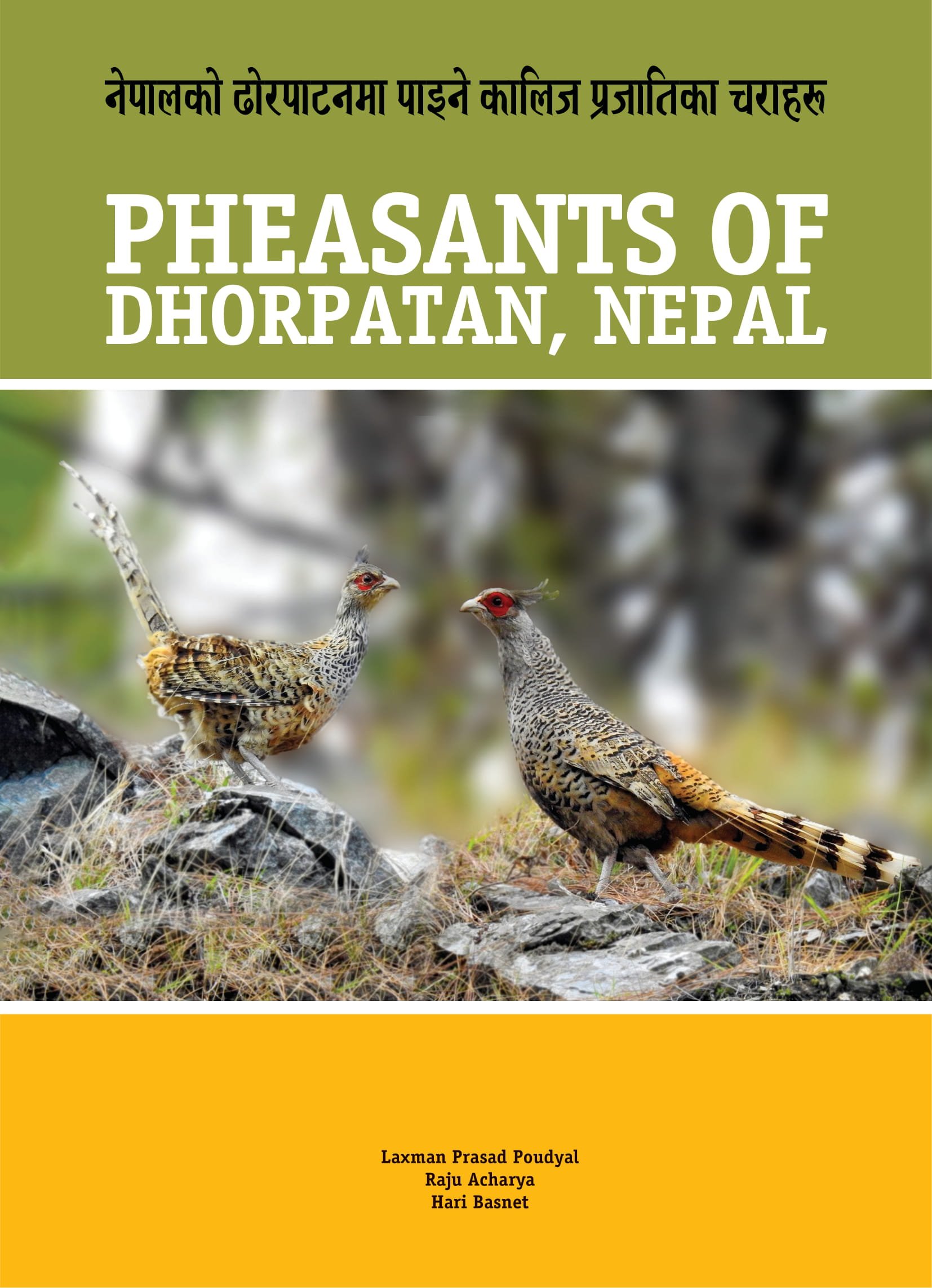 Pheasants of Dhorpatan
