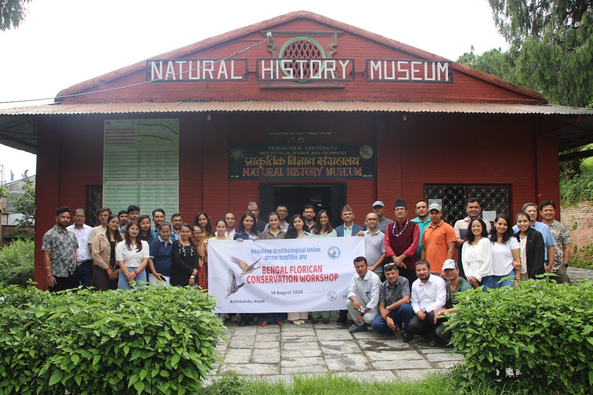 Bengal Florican Conservation Workshop Concludes in Kathmandu