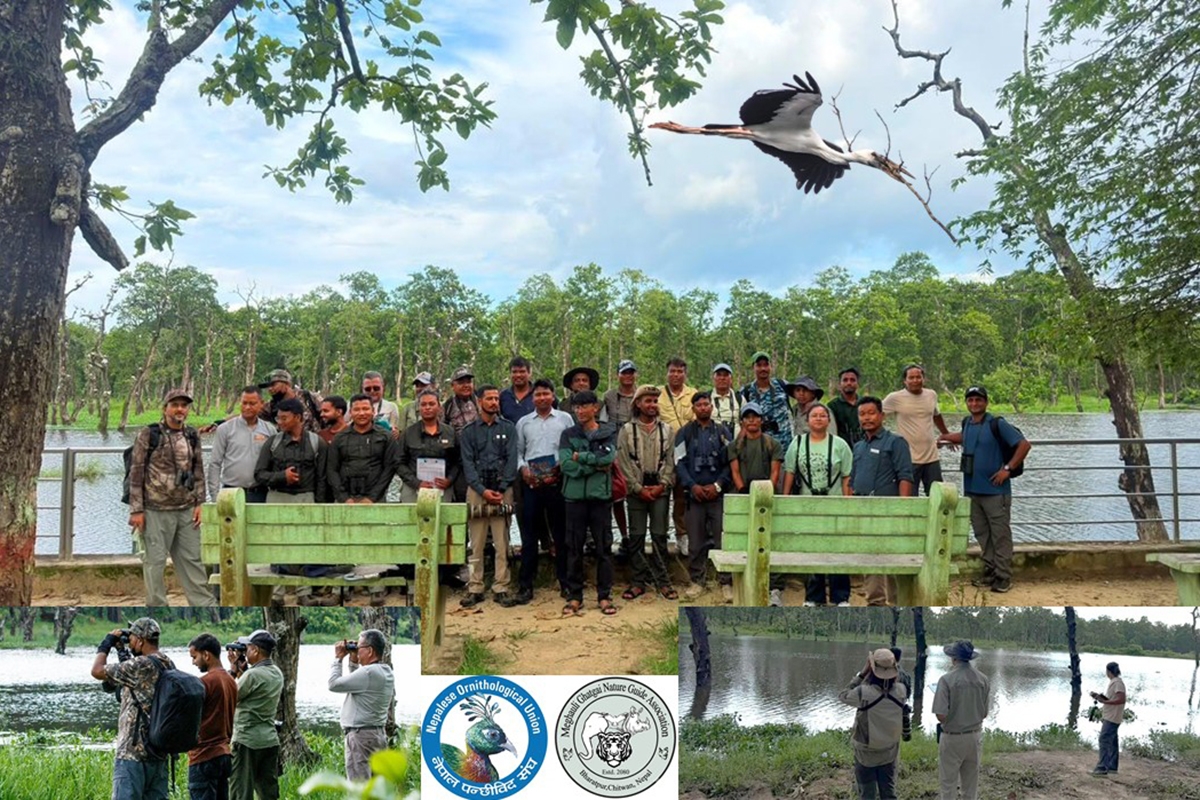 Bird Nest Monitoring at Batuli Pokhari Chitwan: Highlights Asian Openbill Breeding Site
