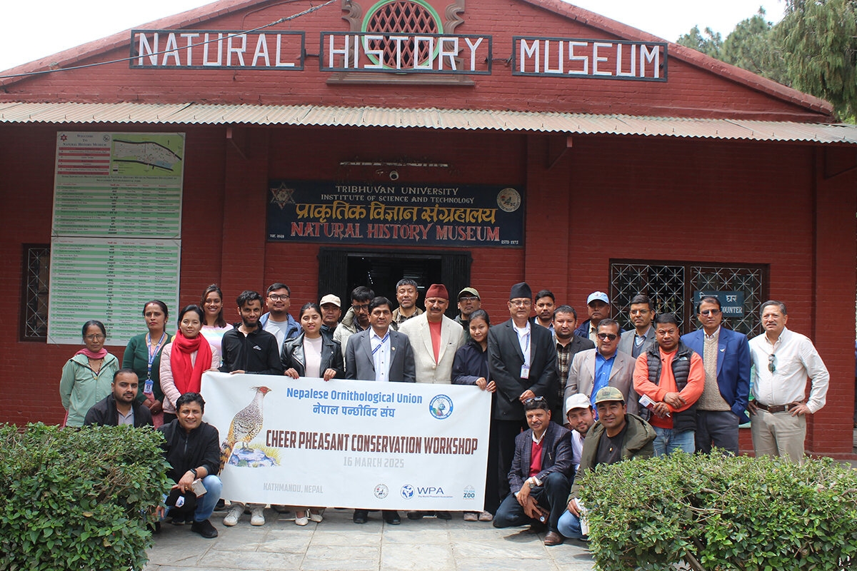 Cheer Pheasant Conservation Workshop Concludes in Kathmandu (16 March 2025).